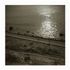 dailyPhoto36